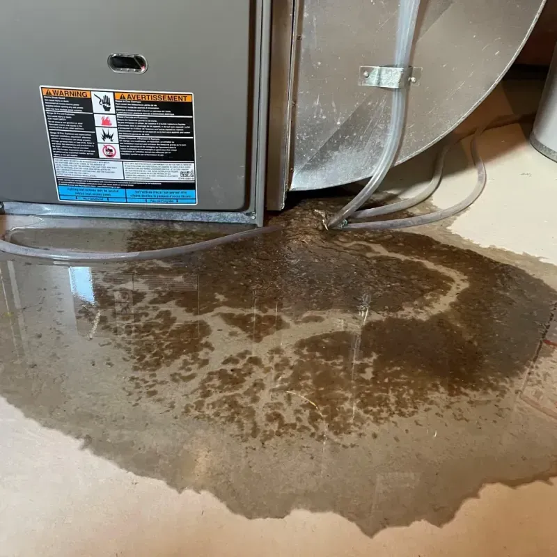 Appliance Leak Cleanup in Whiteville, NC